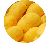 Mango Powder