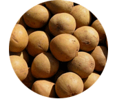 Saporta Powder